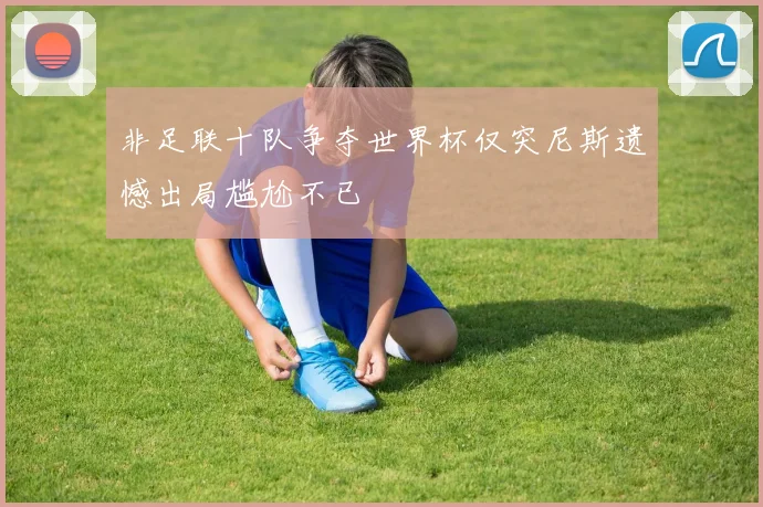 非足联十队争夺世界杯仅突尼斯遗憾出局尴尬不已
